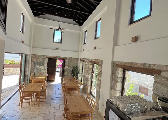 Agon Ephesus Selçuk